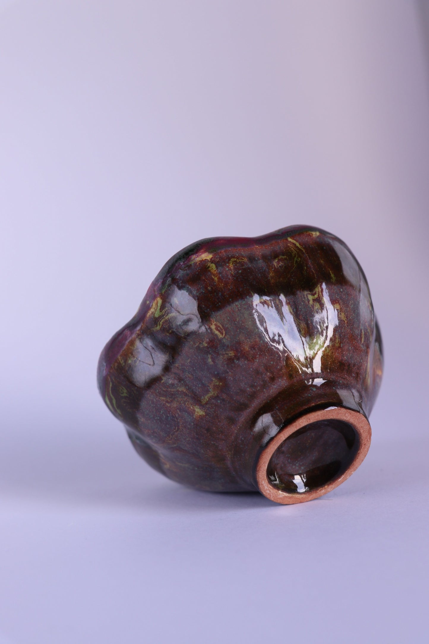 Ciotolina Fiore del Fiore della Vita