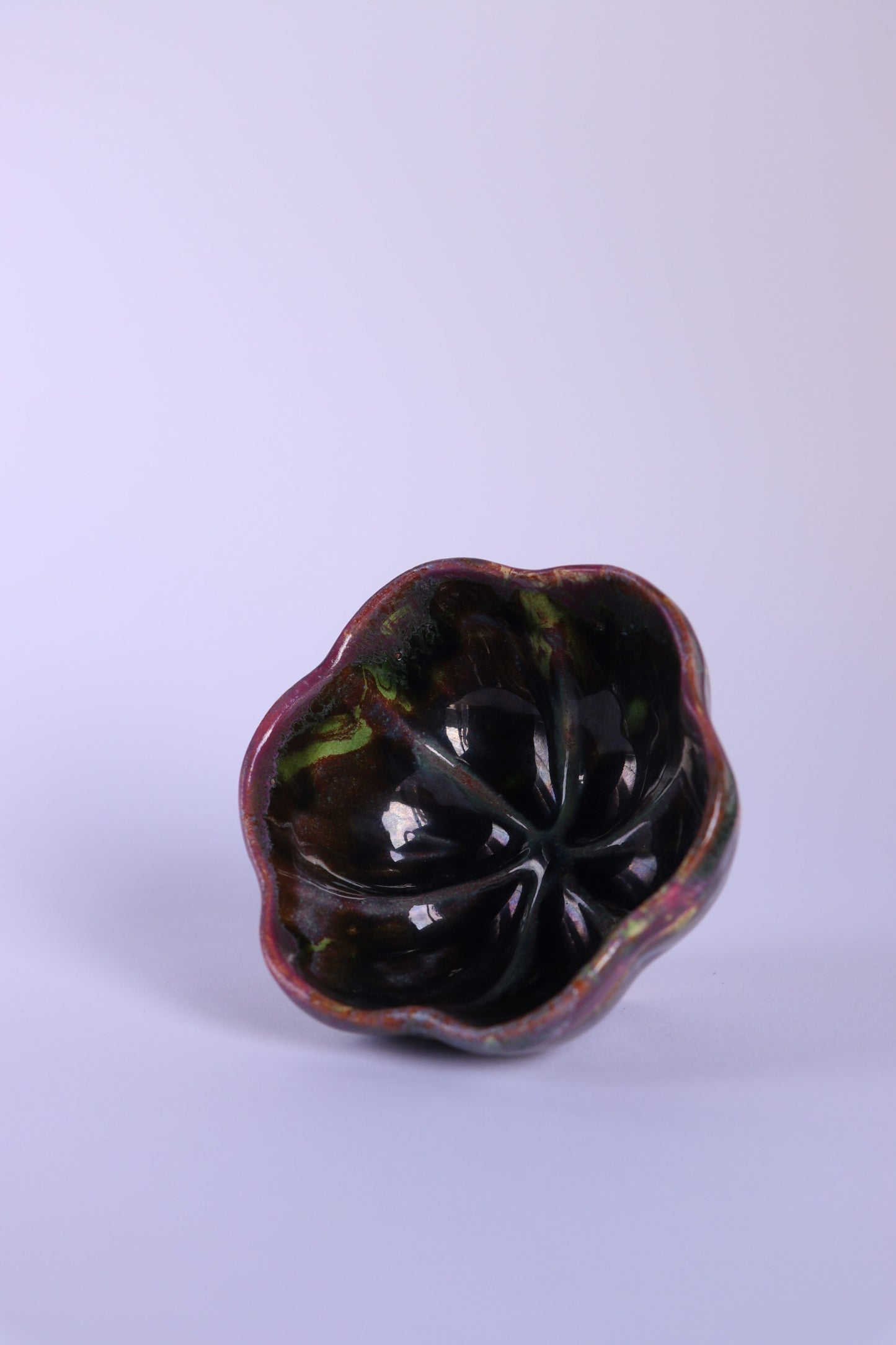 Ciotolina Fiore del Fiore della Vita